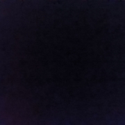 **24516415