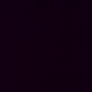 **5566