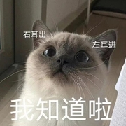 **wazuj