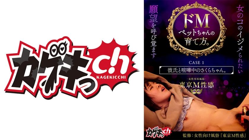486GRMO-159 如何饲养霸气宠物小樱。 案例 1 樱子和男朋友吵架了。