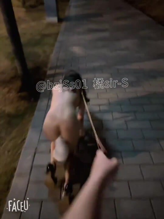 Temu janji istimewa dengan tuan terbaik "Tangerine Sir-S" Saya menangkap jalang kecil yang sesat di tepi jalan pada lewat malam Dia merayau dari tepi jalan ke taman, mengelak orang yang lalu-lalang Dia membawanya ke sudut terpencil dan mencekik 